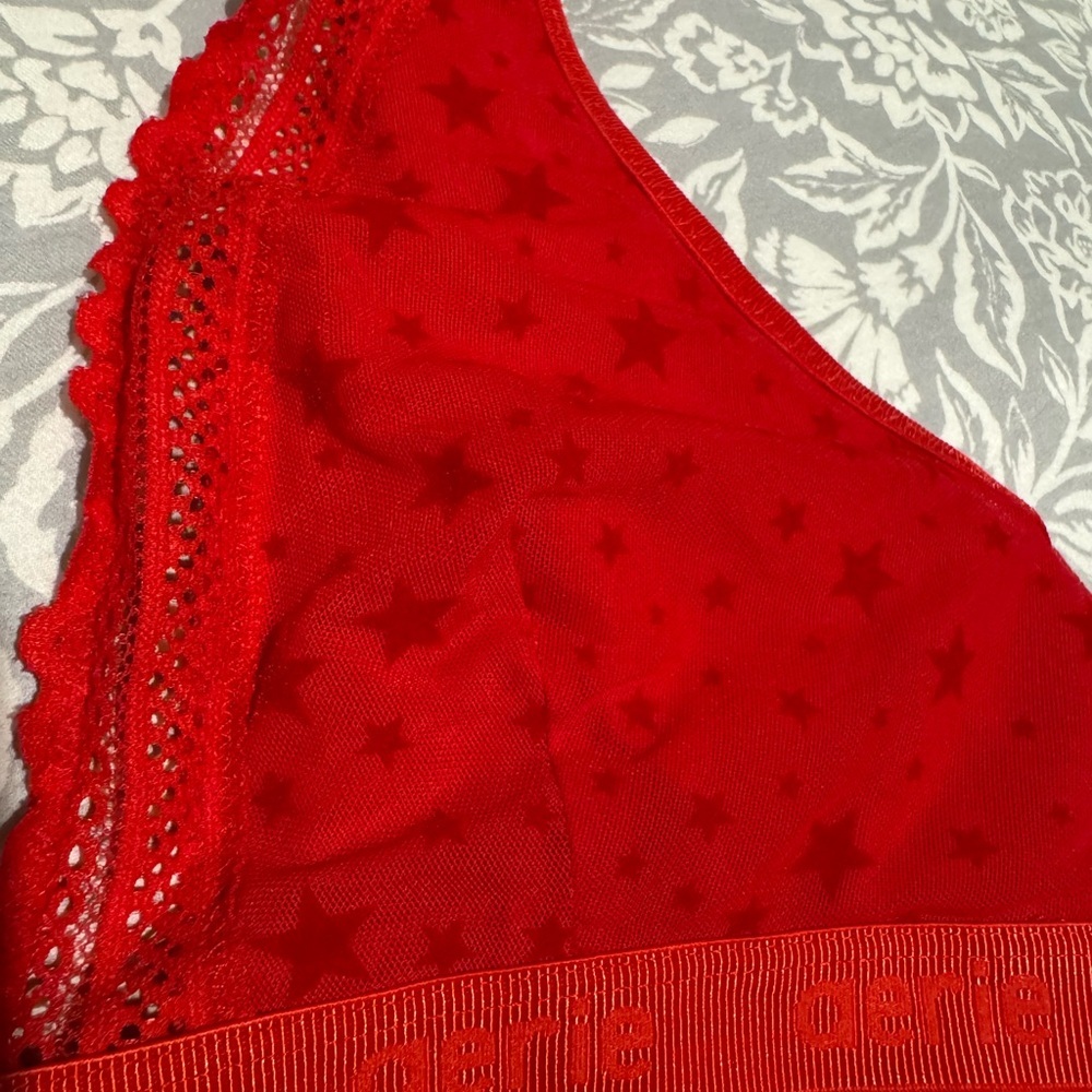 Aerie Scarlet Lace Bralette - Picture 3 of 4